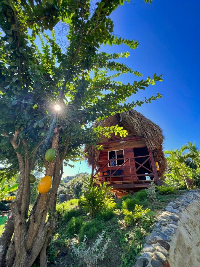 Cabanas Orlando Y Mas Na' Tayrona エル・ザイノ エクステリア 写真